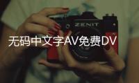 无码中文字AV免费DVD：网络安全的隐患