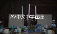 AV中文中字在线
